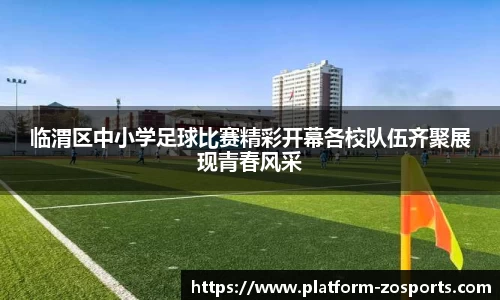 临渭区中小学足球比赛精彩开幕各校队伍齐聚展现青春风采