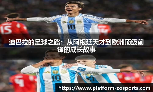 中欧体育官方网站