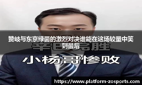 中欧体育