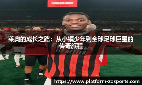 中欧体育