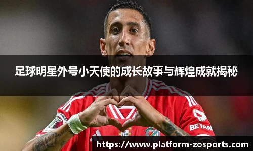 中欧体育