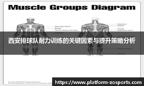 西安排球队耐力训练的关键因素与提升策略分析